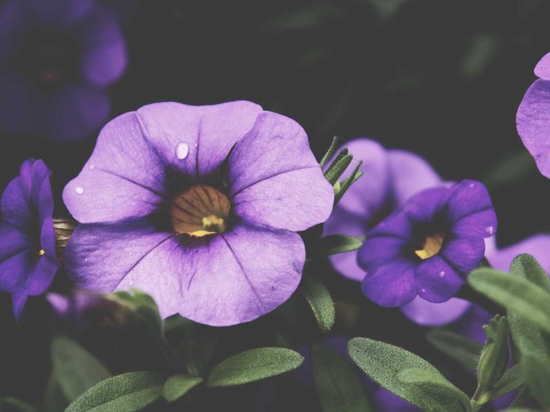 sudoku pattern learning screenshot 3