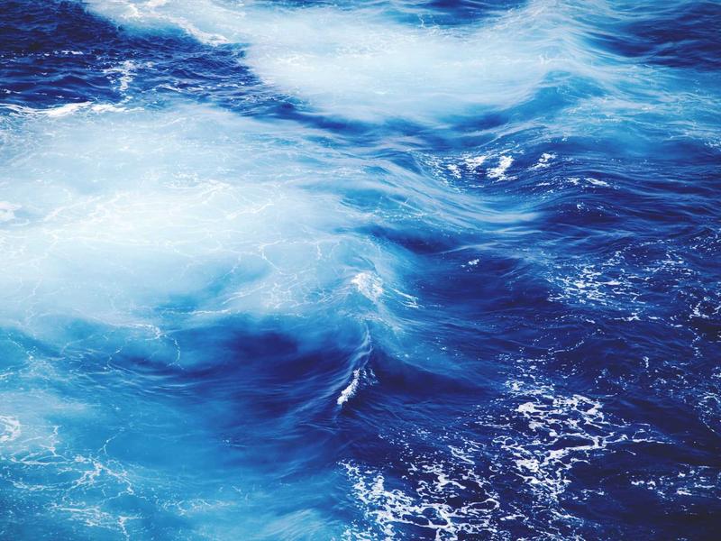 feedback screenshot 5